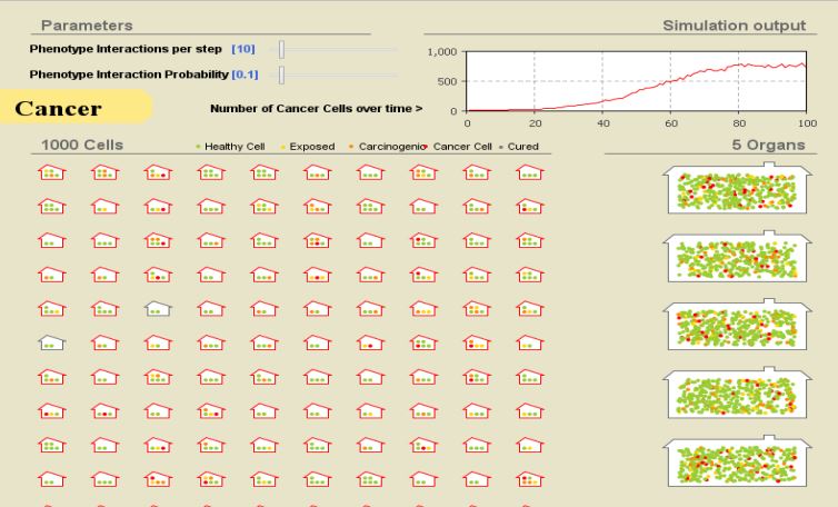 Cancer Cell Simulation