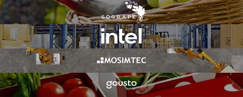 Four covers of AnyLogic cases in 2025: Sogrape, Intel, Mosimtec, Gusto.